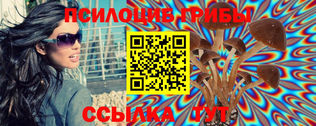 A PVP Светлоград