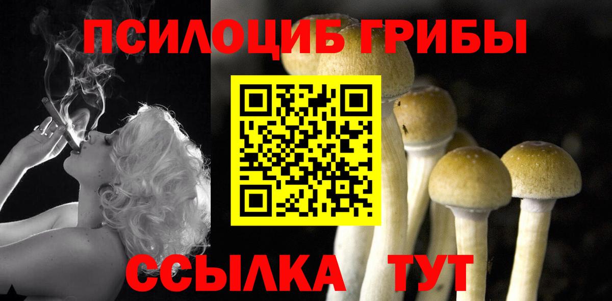Галлюциногенные грибы MAGIC MUSHROOMS  Вход с VPN  купить наркоту  Светлоград 